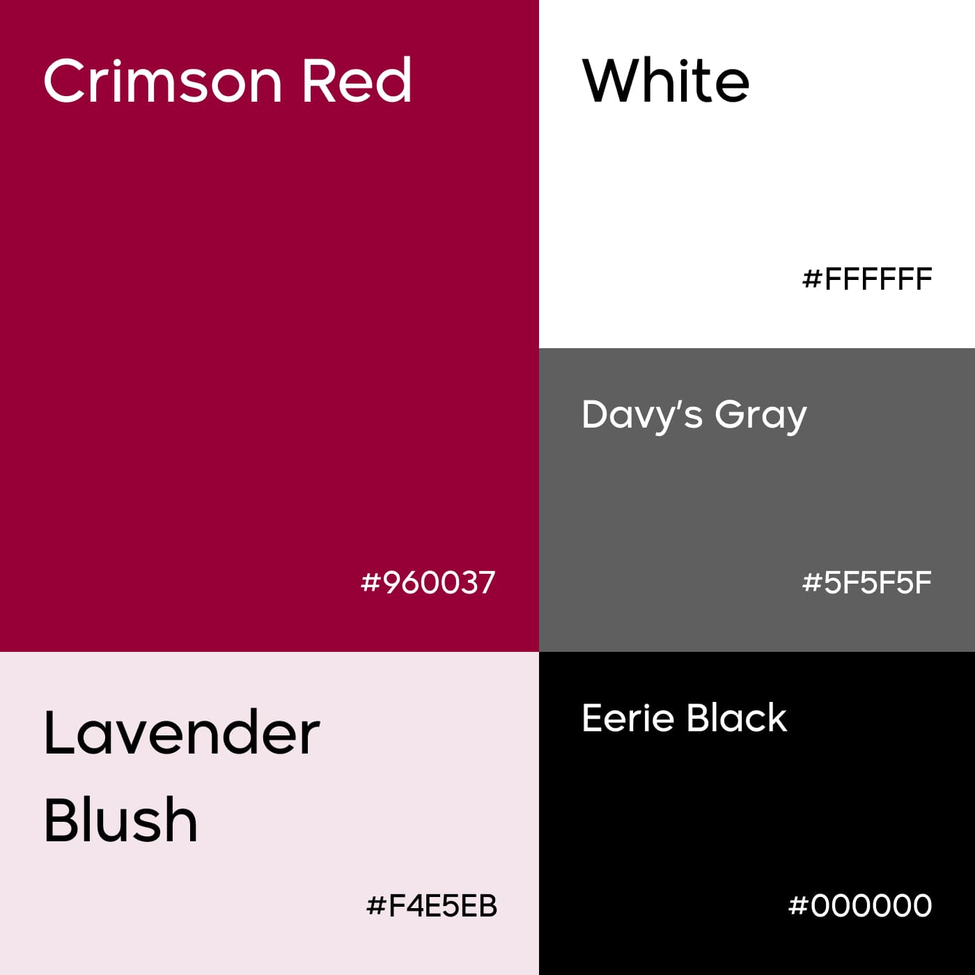 Shopnetic Color Image