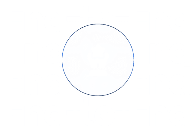 End-to-End Product Expertise