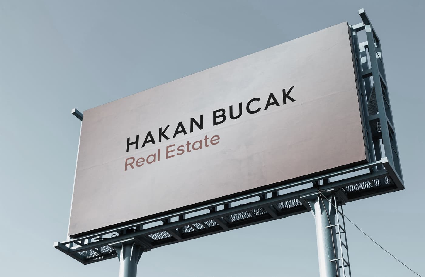 Complete project overview and architecture