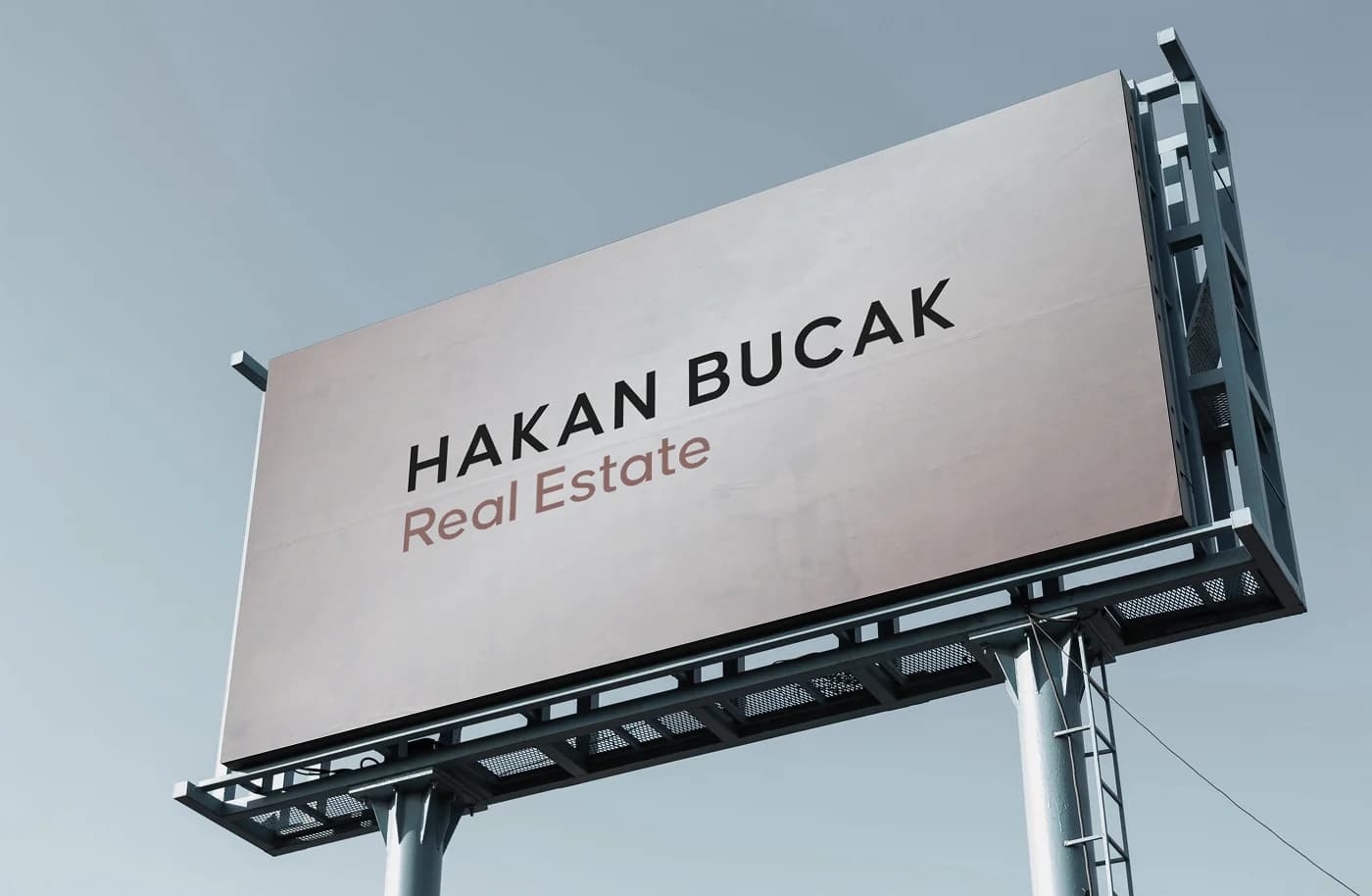 Complete project overview and architecture